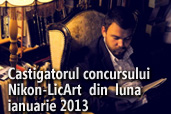 Castigatorul concursului Nikon-LicArt din luna ianuarie 2013