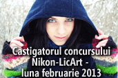 Castigatorul concursului Nikon-LicArt din luna februarie 2013