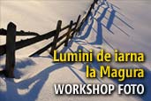 Lumini de iarna la Magura - workshop foto