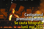 Se cauta fotografia lunii mai 2012 - Castigatorul premiului juriului