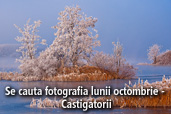 Se cauta fotografia lunii octombrie - Castigatorii