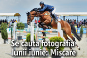 Se cauta fotografia lunii iunie: Miscare