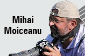 Fotograful de natura - un interviu cu Mihai Moiceanu