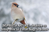 INSPIRATIA NATURII - intalnire cu fotografiile lui Zoltan Nagy la Brasov