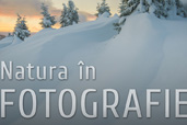 Natura in fotografie - curs foto cu Dan Dinu la Bucuresti