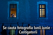 Se cauta fotografia lunii iunie - Castigatorii