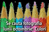 Se cauta fotografia lunii octombrie: Culori