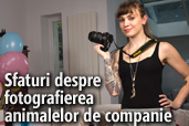 Sfaturi despre fotografierea animalelor de companie de la  Carli Davidson