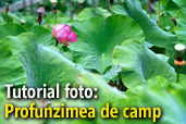 Tutorial foto: Profunzimea de camp 