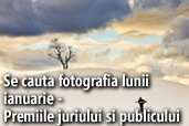 Se cauta fotografia lunii ianuarie - Premiile juriului si publicului