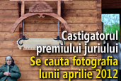 Se cauta fotografia lunii aprilie 2012 - Castigatorul premiului juriului