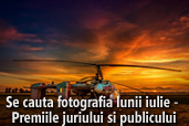 Se cauta fotografia lunii iulie - Premiile juriului si publicului